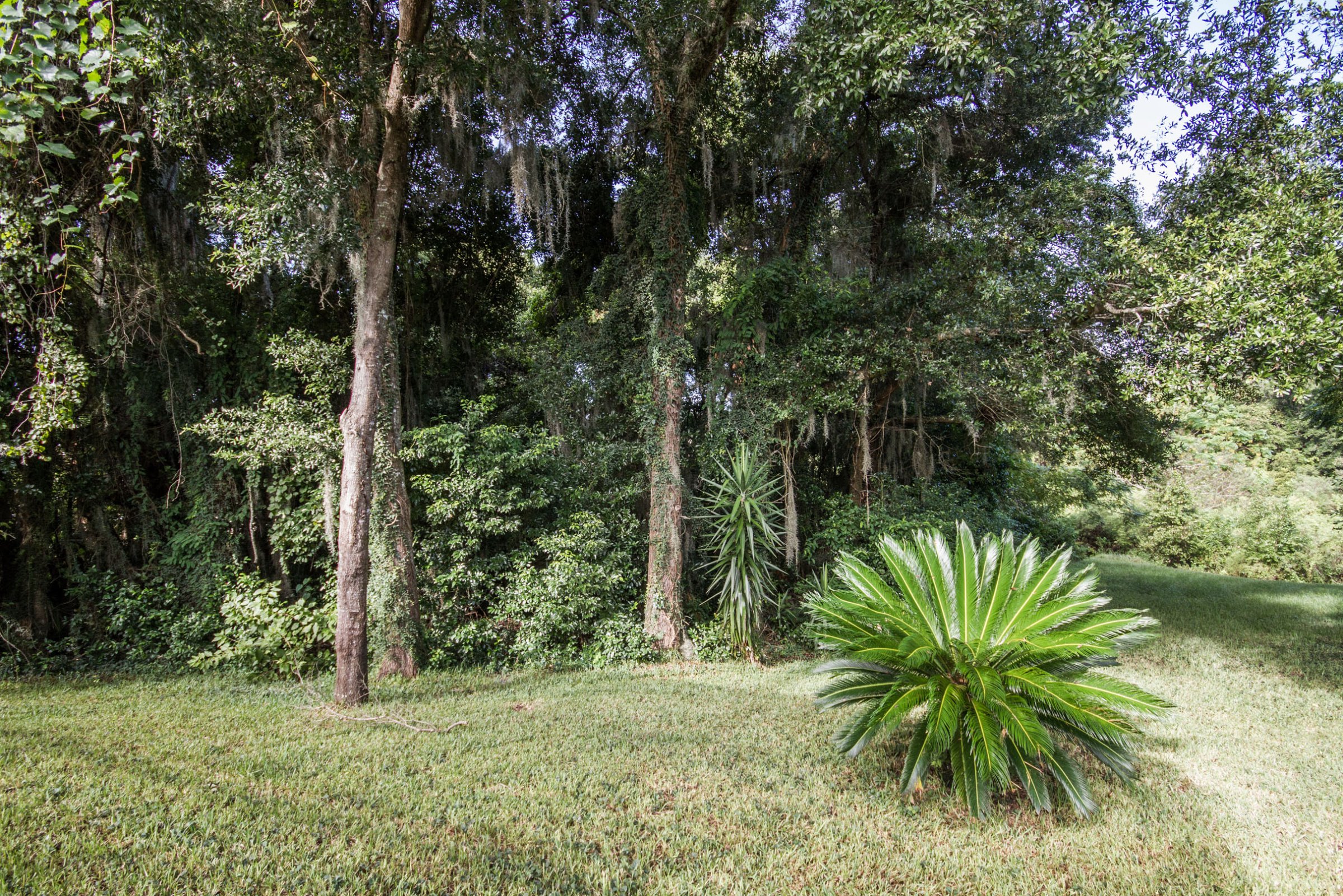 1044-welch-hill-cir-apopka-fl-32712-06 1044-welch-hill-cir-apopka-fl-32712-06