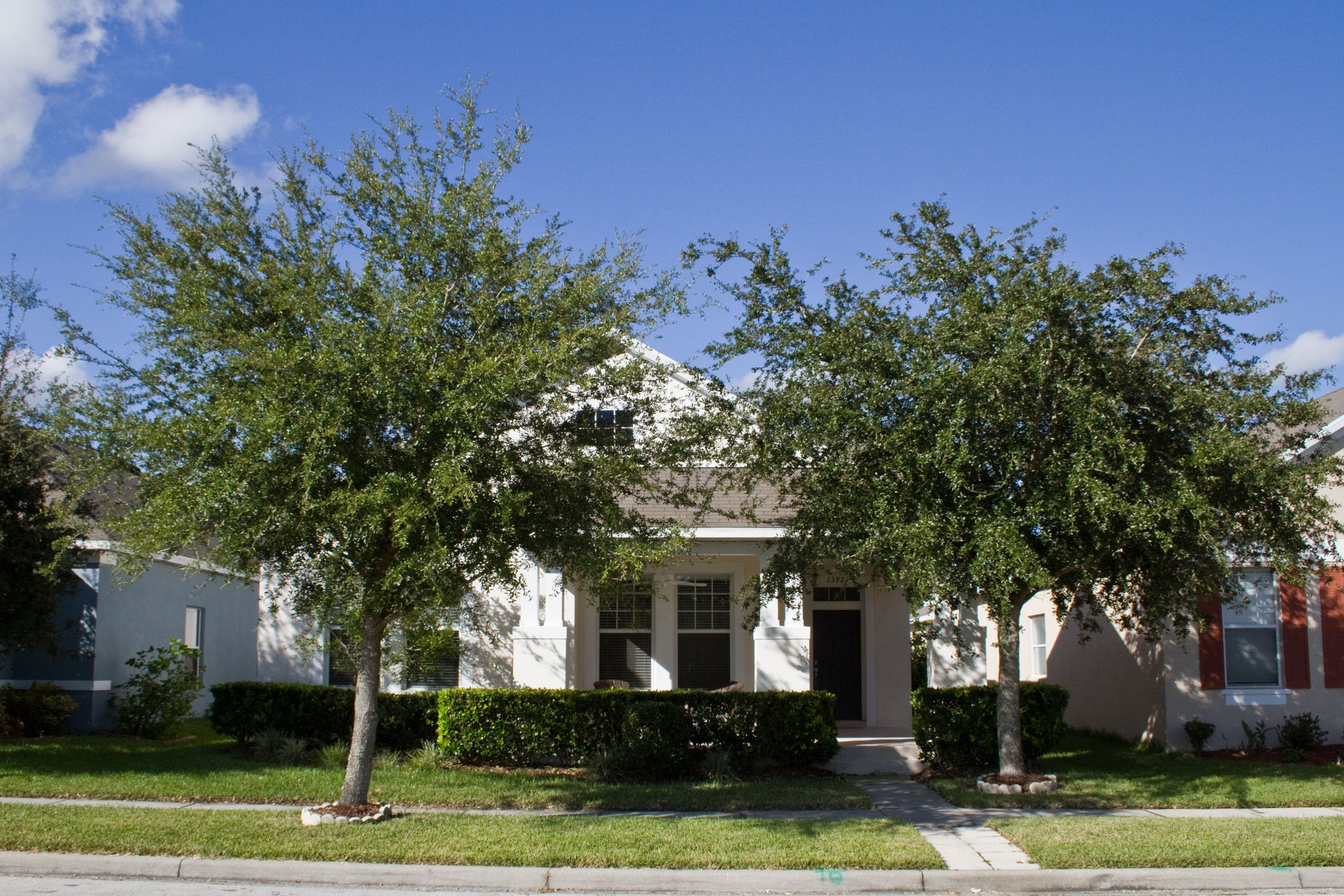 13921-golden-rain-tree-blvd-orlando-fl-32828-01 13921-golden-rain-tree-blvd-orlando-fl-32828-01