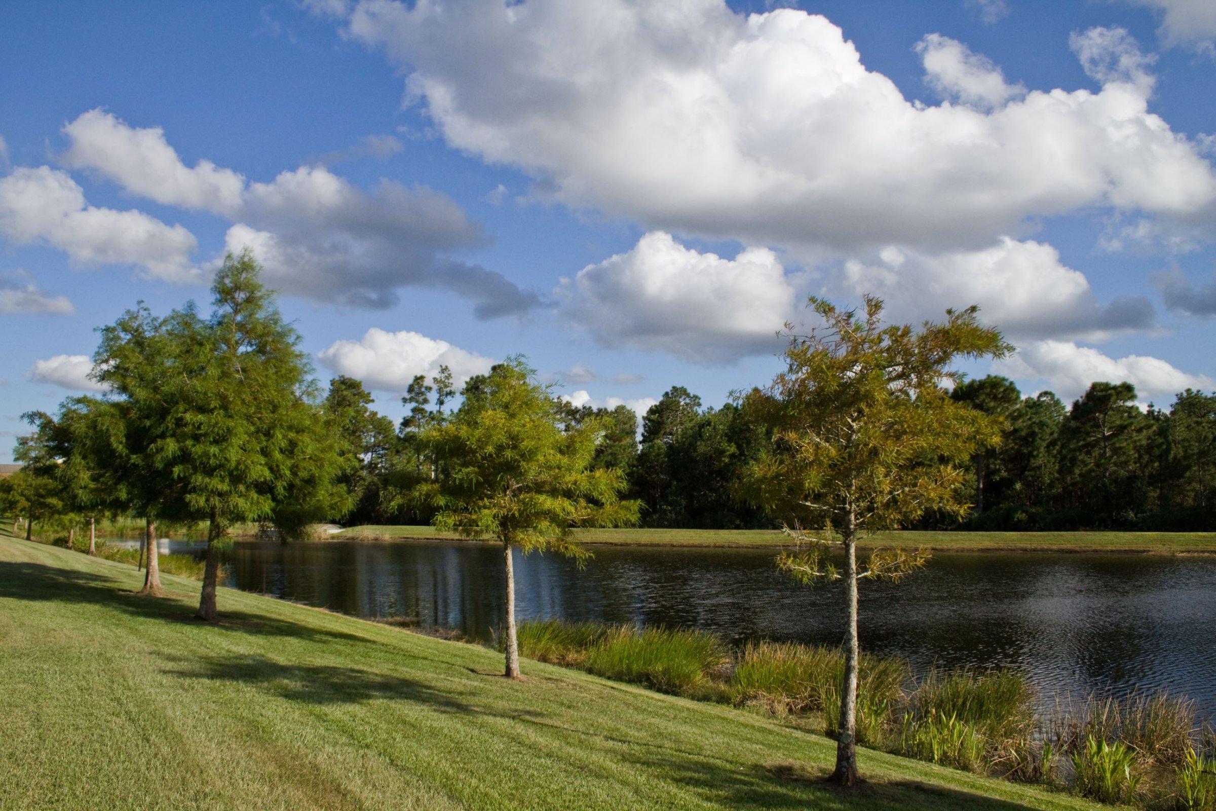 13921-golden-rain-tree-blvd-orlando-fl-32828-24 13921-golden-rain-tree-blvd-orlando-fl-32828-24