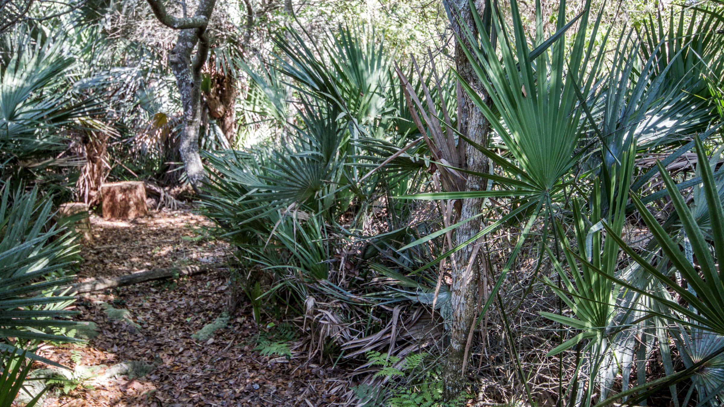 1903-knight-ave-orlando-fl-32826-06 1903-knight-ave-orlando-fl-32826-06