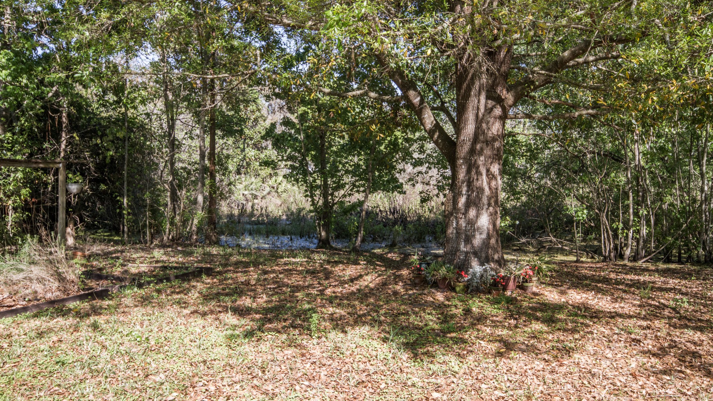 1903-knight-ave-orlando-fl-32826-07 1903-knight-ave-orlando-fl-32826-07