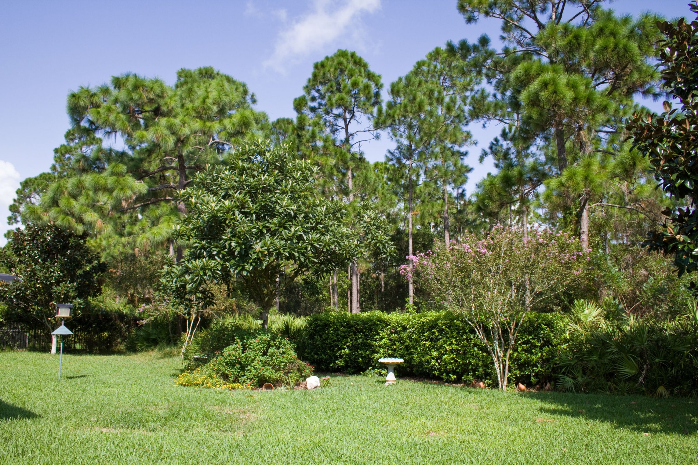 2250-foliage-oak-ter-oviedo-fl-32766-02 2250-foliage-oak-ter-oviedo-fl-32766-02