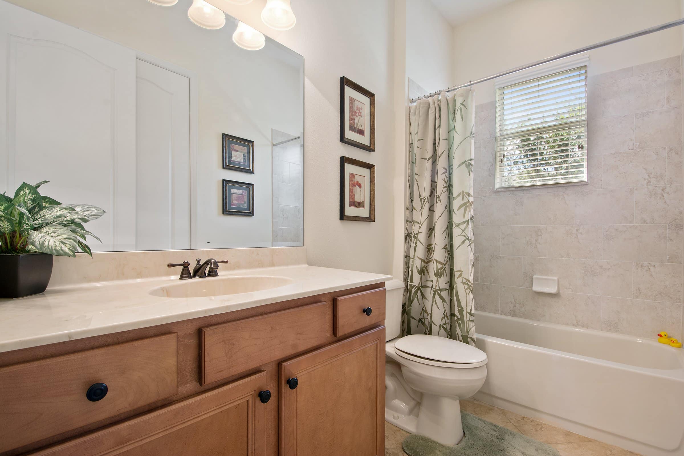 2390-sterling-creek-pkwy-oviedo-fl-32766-12 2390-sterling-creek-pkwy-oviedo-fl-32766-12