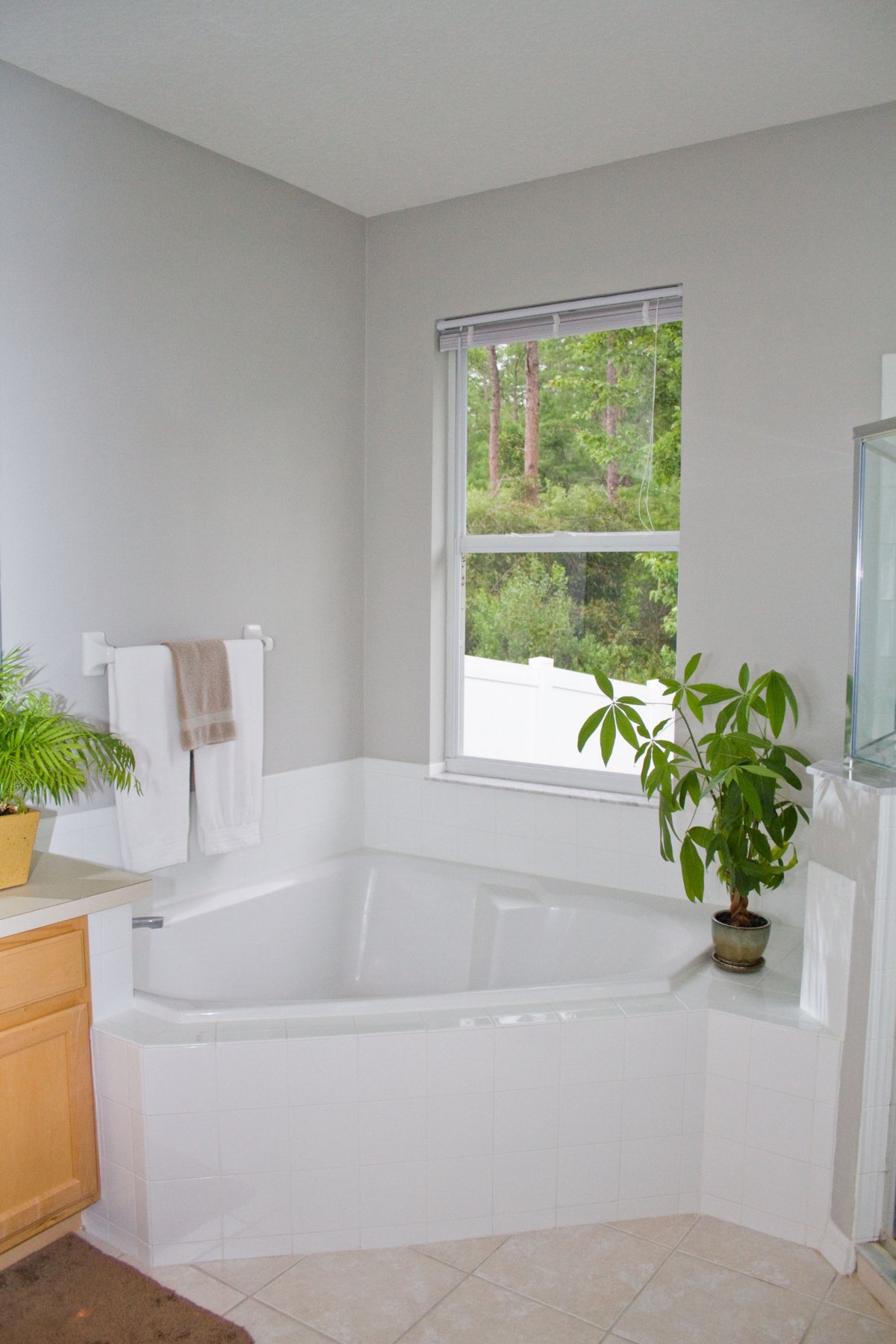 2470-Cypress-Trace-Cir_Orlando_2013-06-11-17-39-58