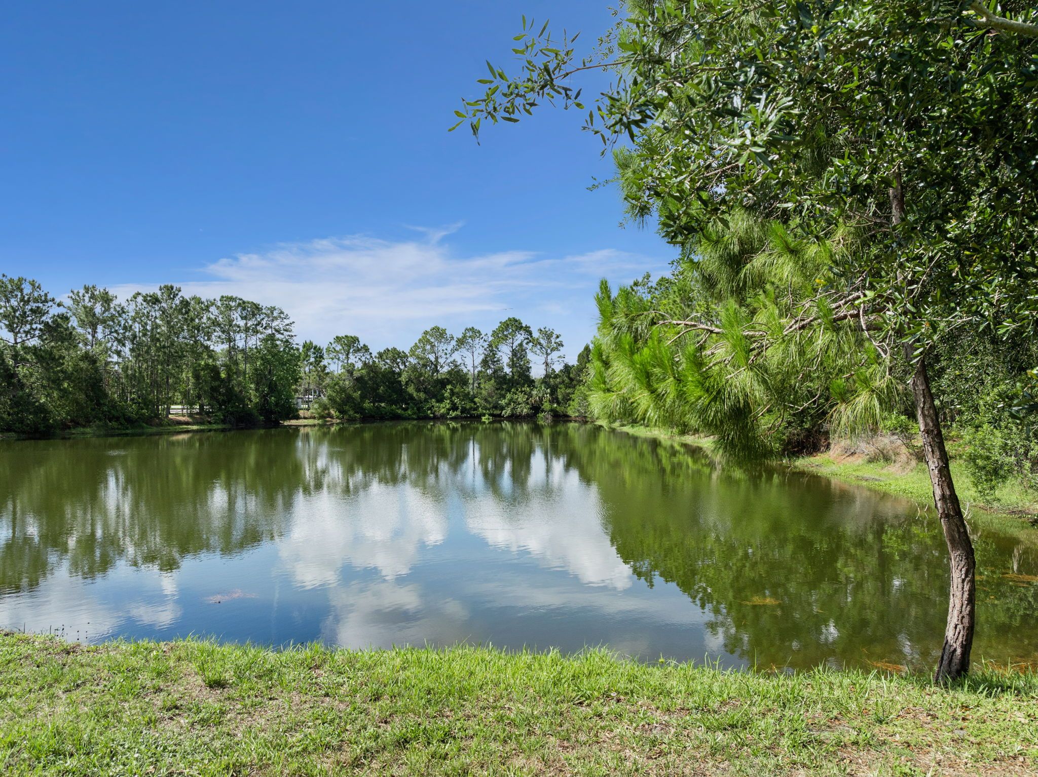 47-web-or-mls-2790_Blue_Springs_Cove__Oviedo__FL_32766_DJI_0479