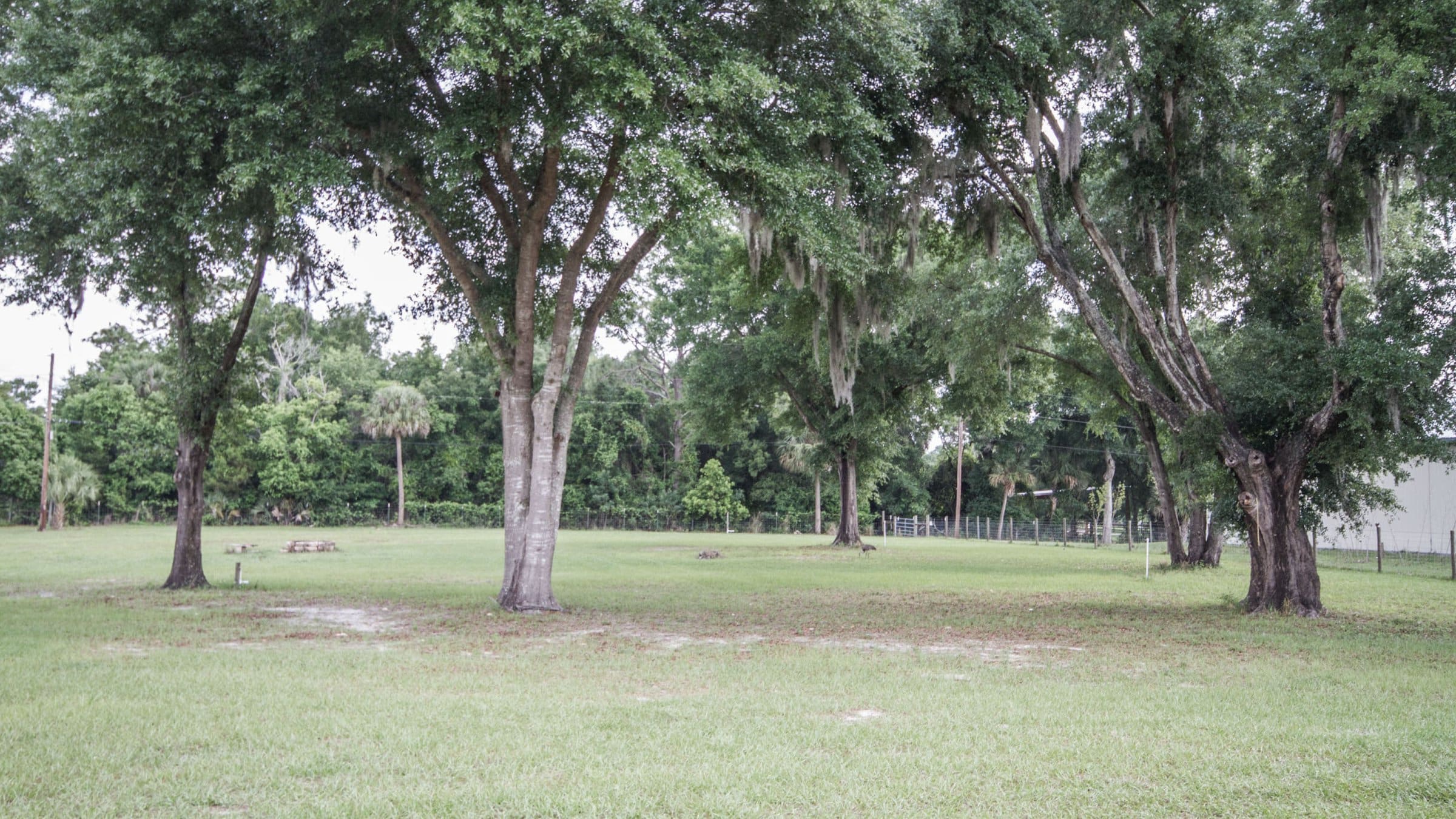 326-sandy-top-ln-geneva-fl-32732-05 326-sandy-top-ln-geneva-fl-32732-05