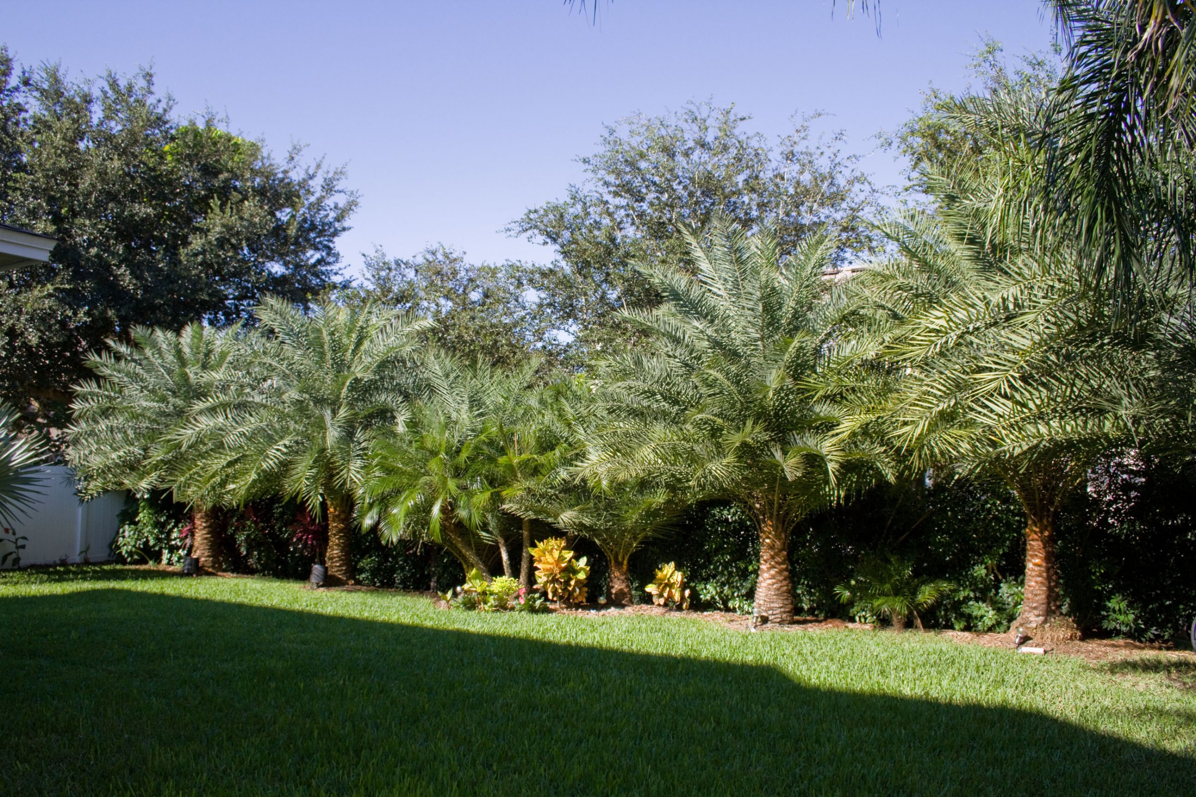 3297-red-ash-cir-oviedo-fl-32766-03 3297-red-ash-cir-oviedo-fl-32766-03
