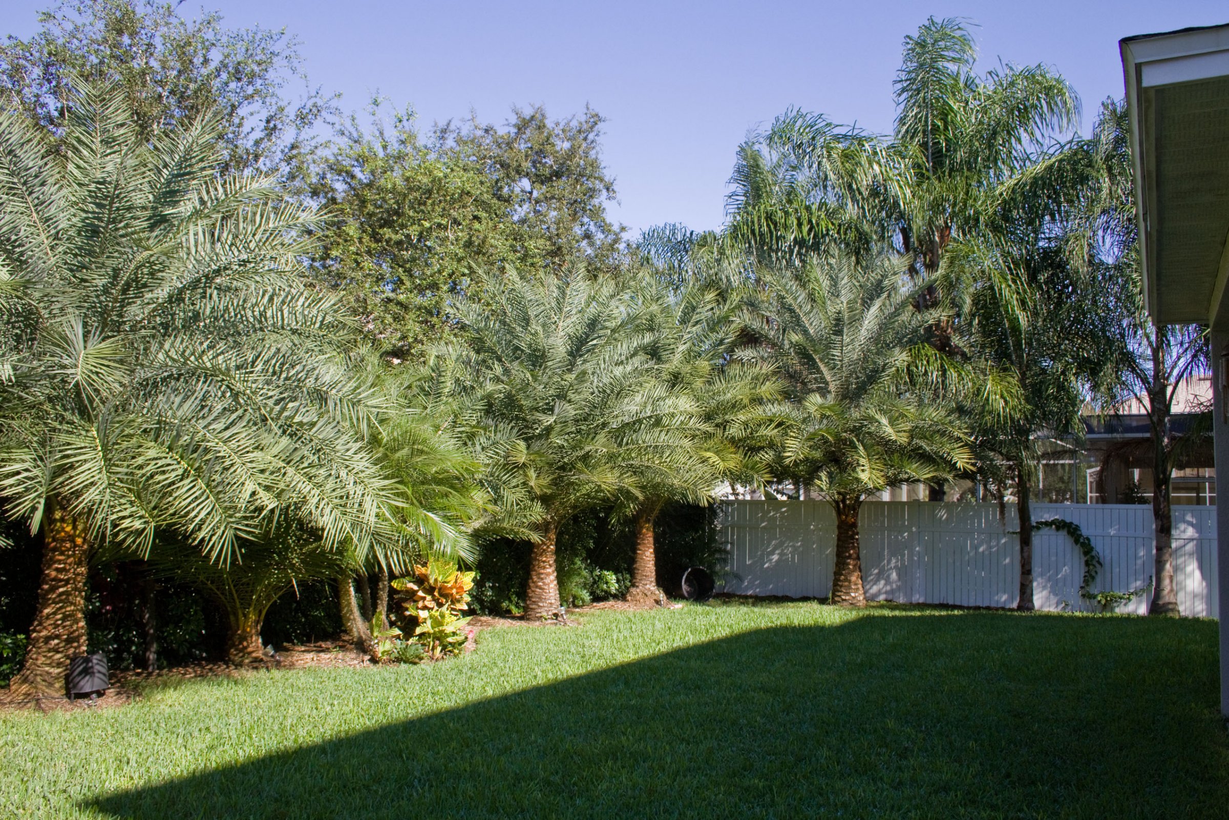 3297-red-ash-cir-oviedo-fl-32766-04 3297-red-ash-cir-oviedo-fl-32766-04