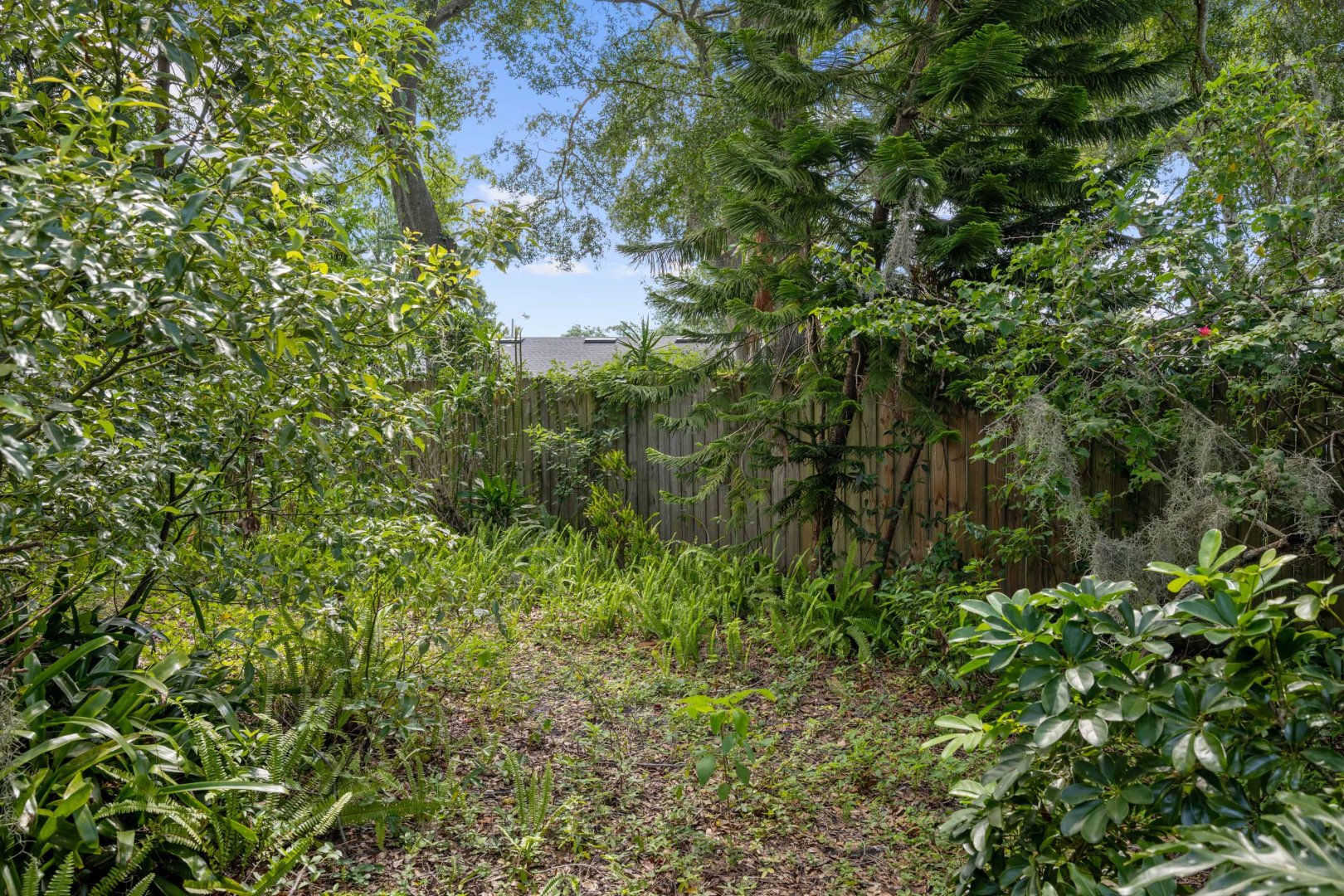 3505 Superior Ct, Orlando, FL 32810 3505 Superior Ct, Orlando, FL 32810