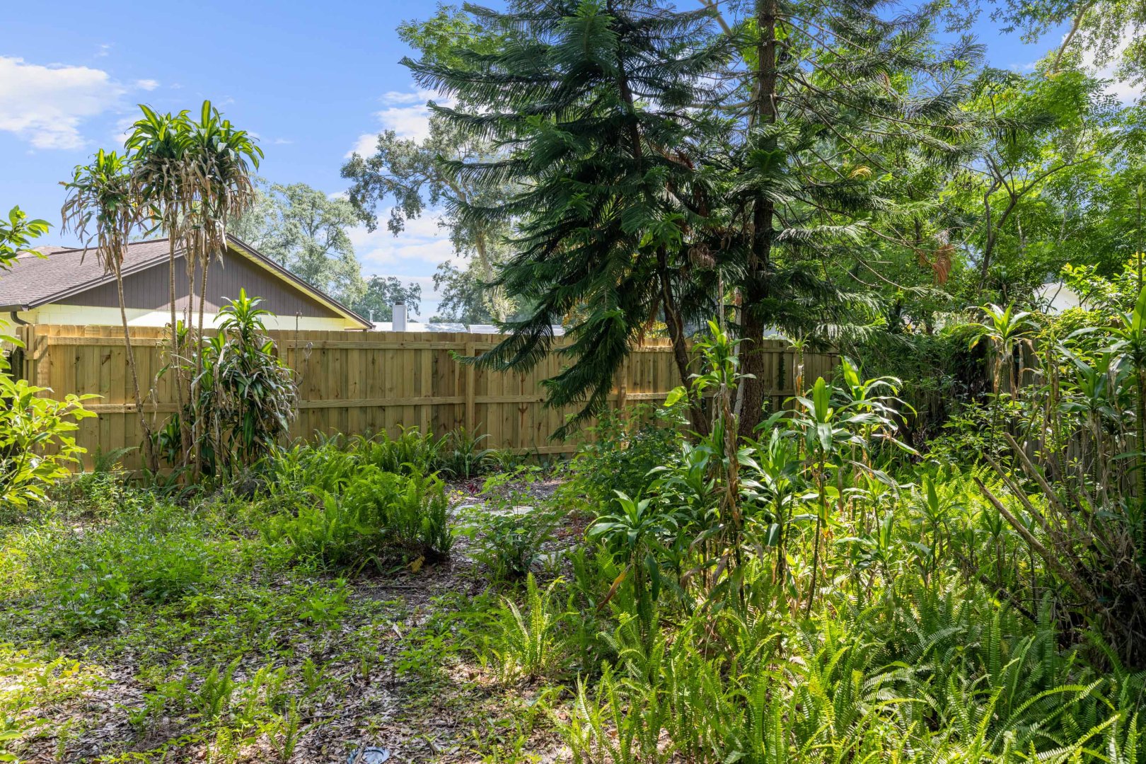 3505 Superior Ct, Orlando, FL 32810 3505 Superior Ct, Orlando, FL 32810