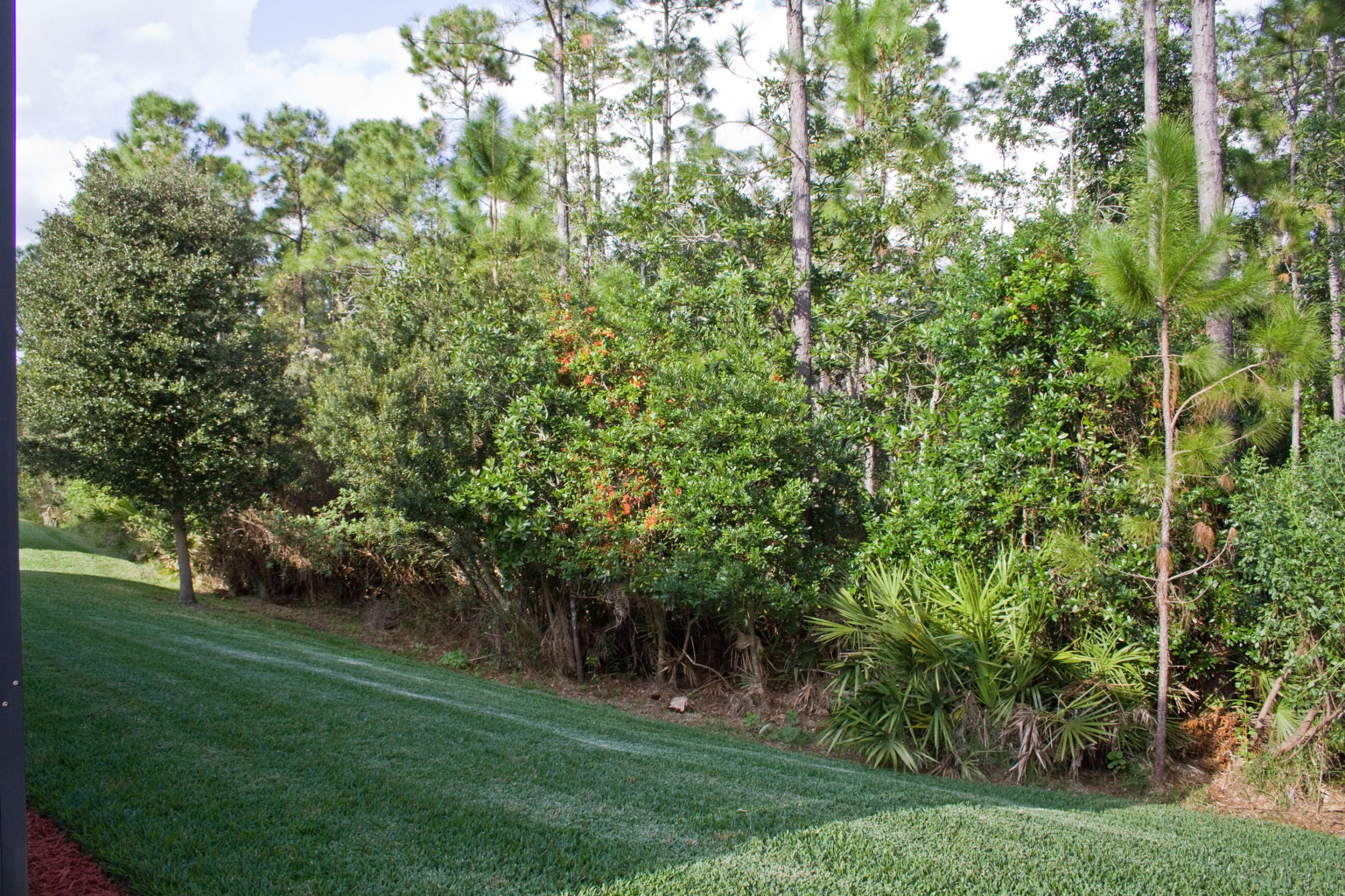 3878-Whitewood-Ct_Live-Oak-Reserve_2013-12-11-16-04-09 3878-Whitewood-Ct_Live-Oak-Reserve_2013-12-11-16-04-09