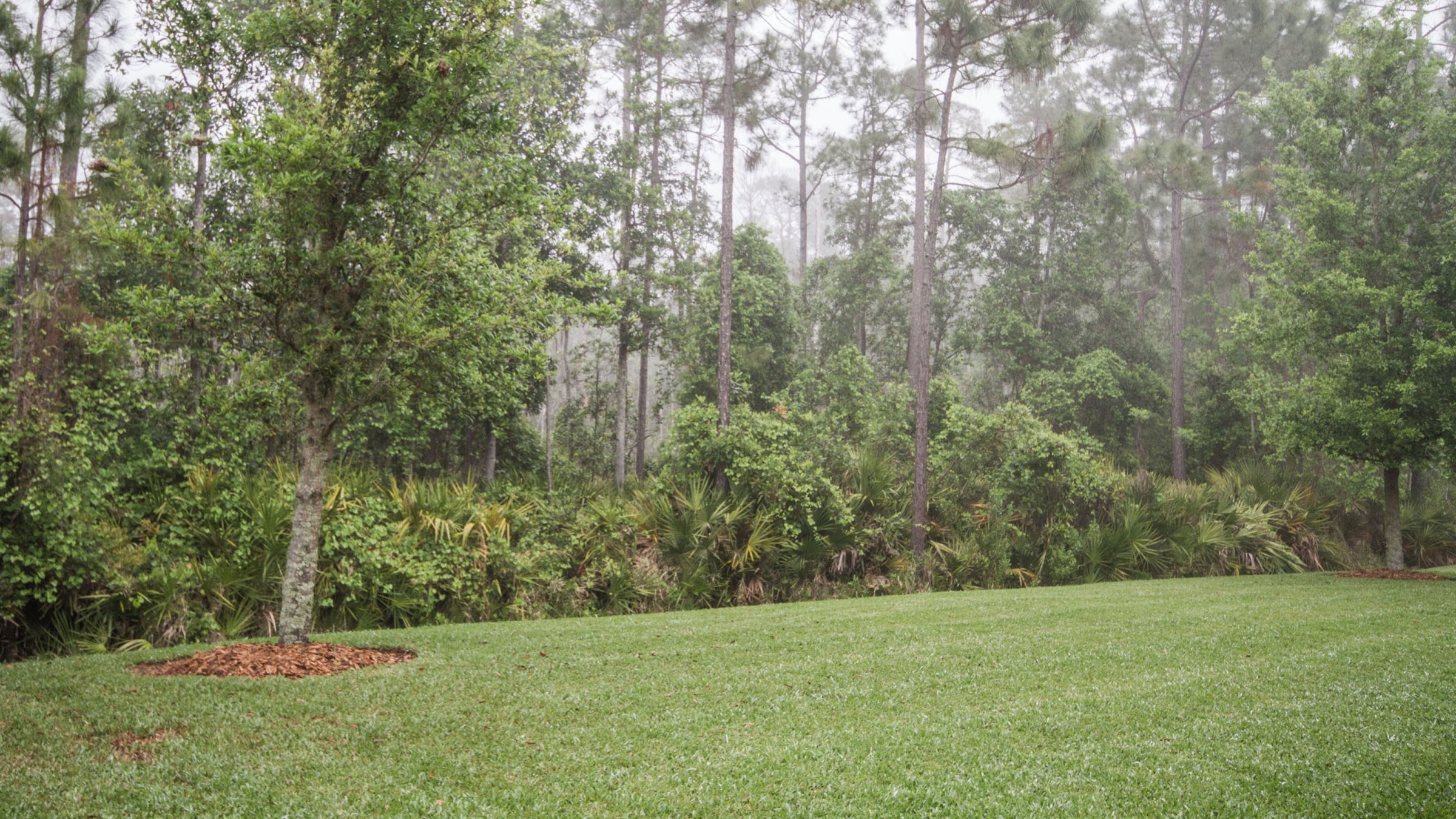 3945-flowering-stream-way-oviedo-fl-32766-03 3945-flowering-stream-way-oviedo-fl-32766-03