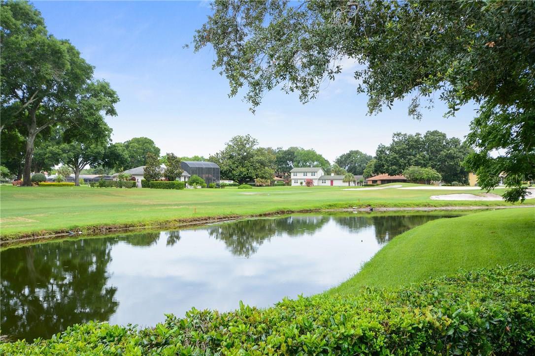 6702-bittersweet-ln-orlando-fl-32819-25 6702-bittersweet-ln-orlando-fl-32819-25