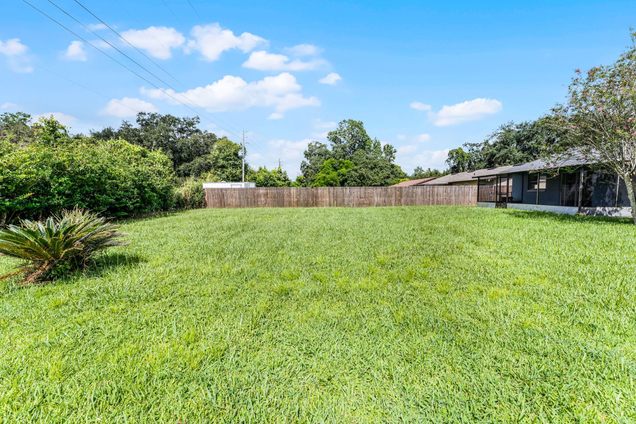 896 Field St, Oviedo, FL 32765 896 Field St, Oviedo, FL 32765