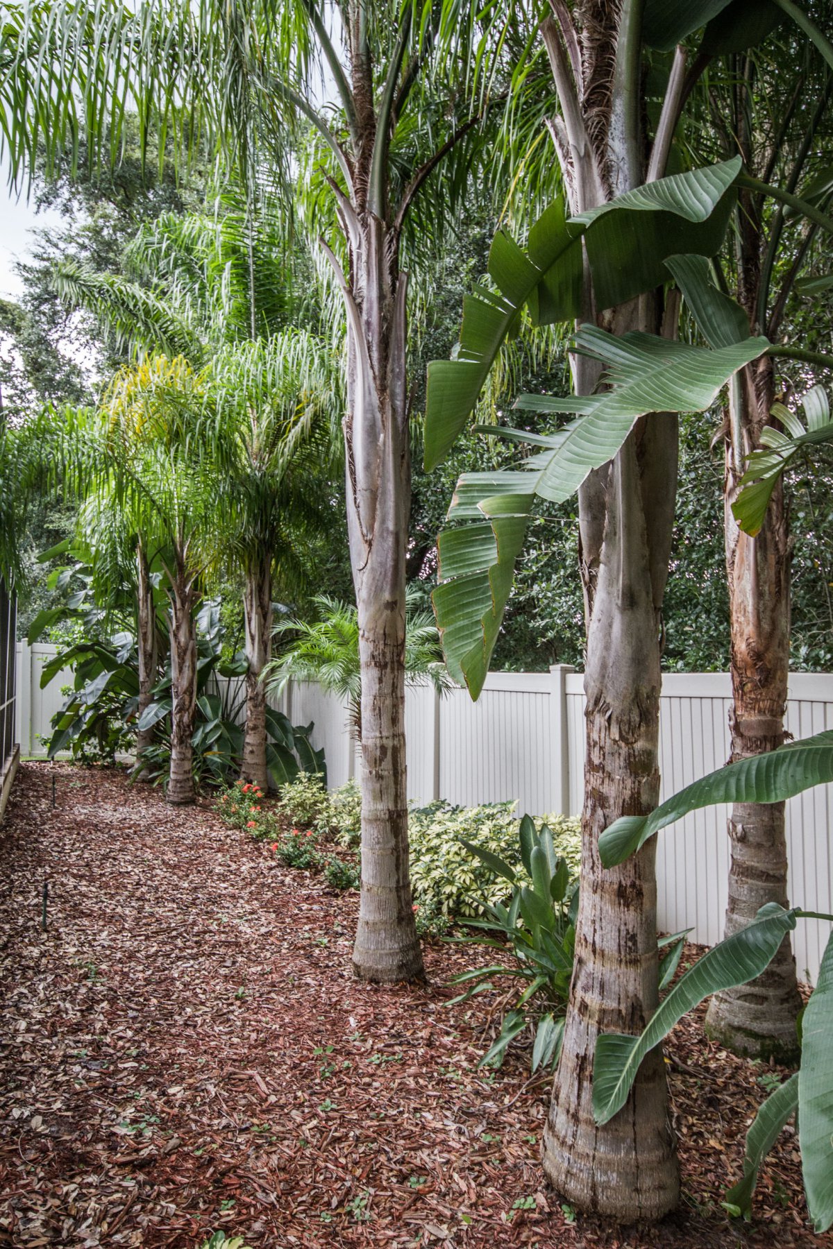 9008-vickroy-ter-oviedo-fl-32765-04 9008-vickroy-ter-oviedo-fl-32765-04