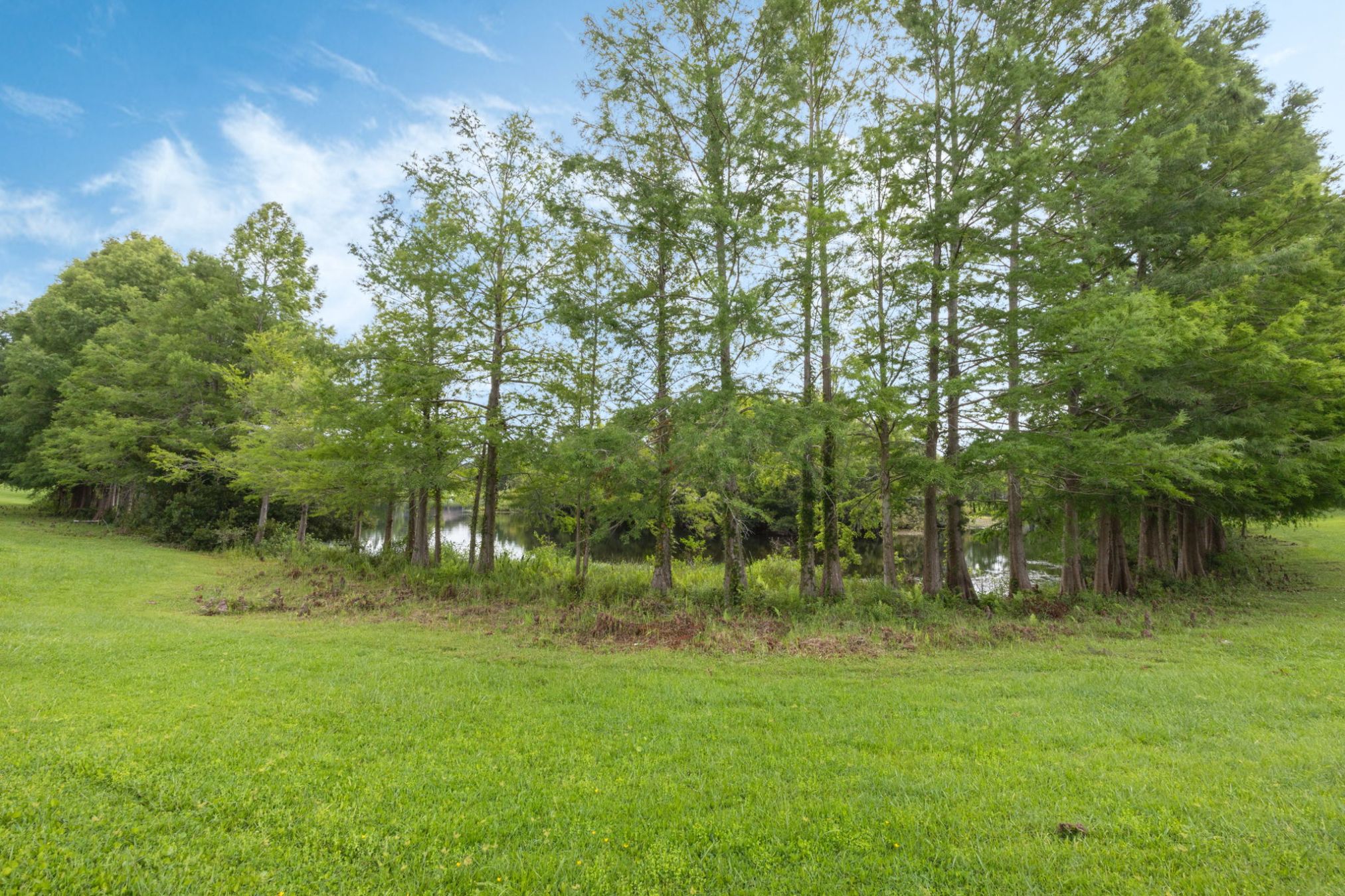 985-N-Lake-Claire-Cir-Oviedo-FL-32765-54 985-N-Lake-Claire-Cir-Oviedo-FL-32765-54