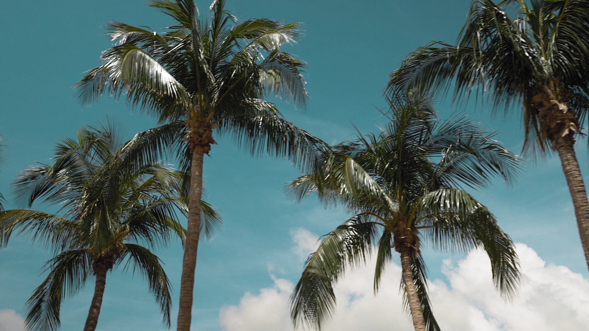 Central Florida Living