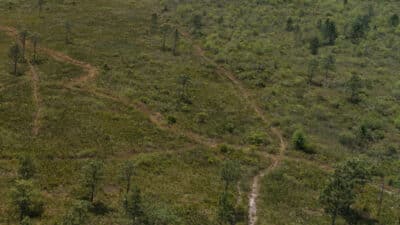 International Dr Tract 99, Orlando, FL 32820 – Sold