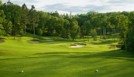 Golf green and tee box in late afternoon sunlight