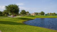 Conservation in Oviedo's Live Oak Reserve
