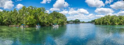 Ellie Schiller Homosassa Springs Wildlife State Park Looking at the Homosassa River