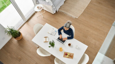 About This Publication