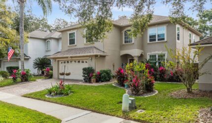 225 Hanging Moss Dr, Oviedo, FL 32765