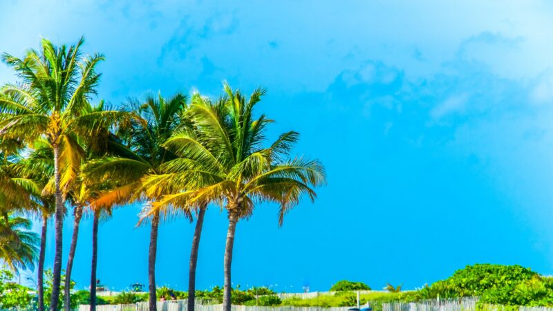Florida Real Estate License