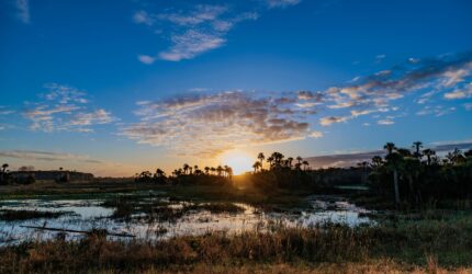 How to Build on Wetlands in Florida