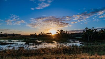 How to Identify and Build on Wetlands in Central Florida